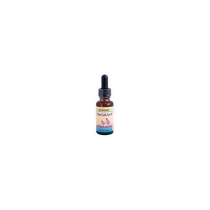 Herbs For Kids Willow Garlic Oil (1x1 Oz)