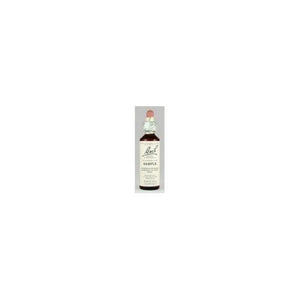 Bach Wild Rose (1x20 ML)