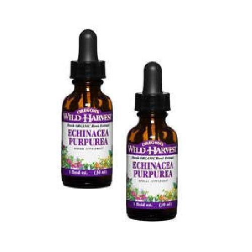 Oregon's Wild Harvest Ech Purpurea Root (1x1OZ )
